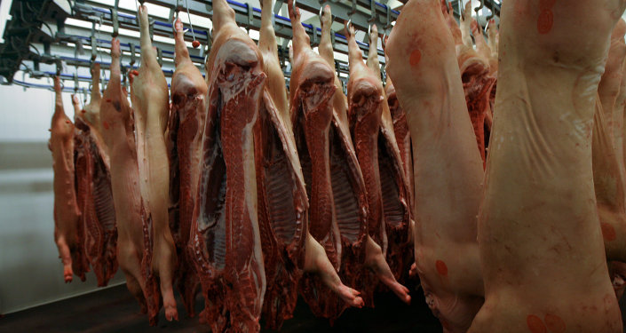 俄官员：滨海边疆区拟大幅提高猪肉产量以增加对华出口